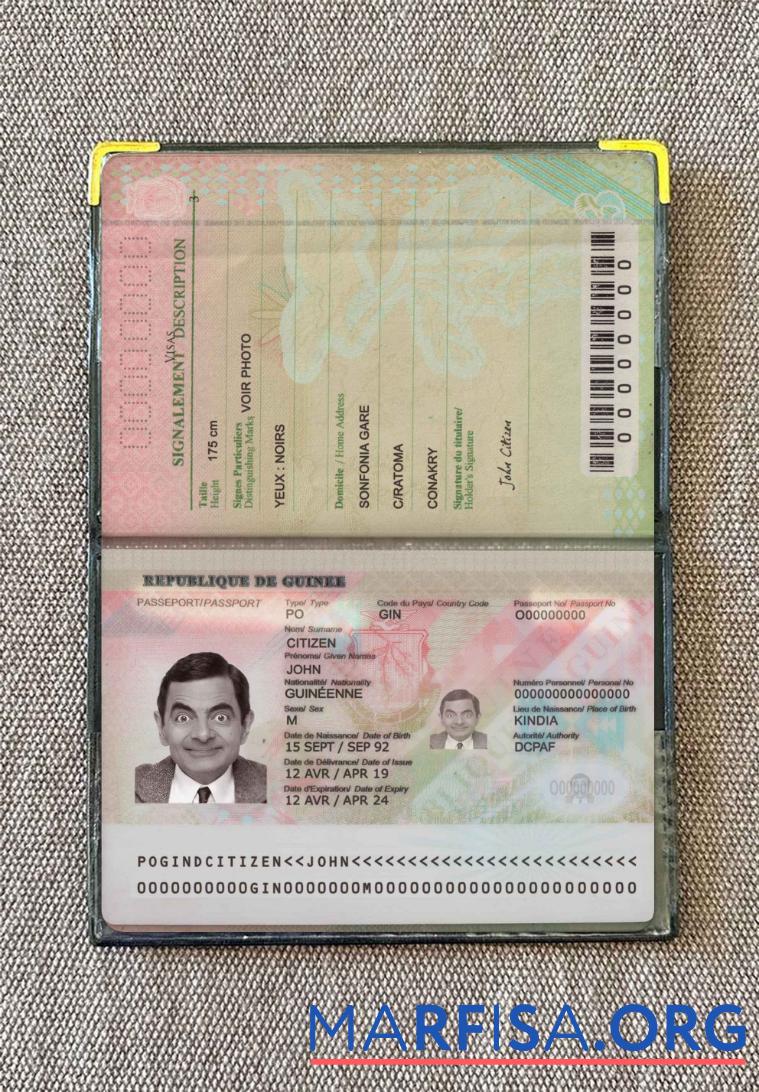 Blank Guinea passport (2018 present) photo look template